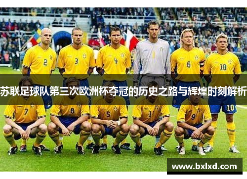 苏联足球队第三次欧洲杯夺冠的历史之路与辉煌时刻解析