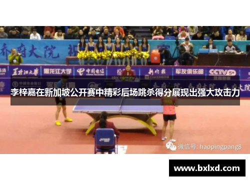 李梓嘉在新加坡公开赛中精彩后场跳杀得分展现出强大攻击力