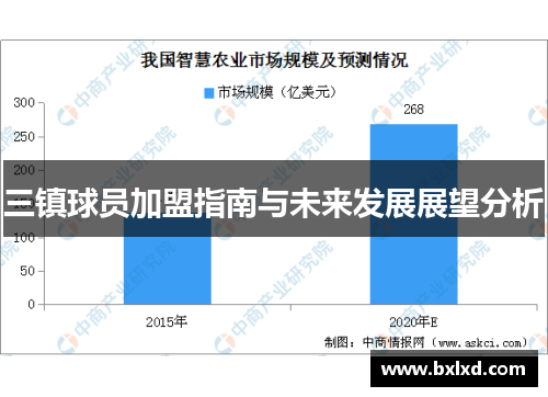 三镇球员加盟指南与未来发展展望分析