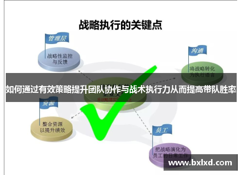 如何通过有效策略提升团队协作与战术执行力从而提高带队胜率