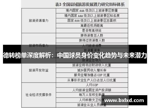 德转榜单深度解析：中国球员身价变化趋势与未来潜力
