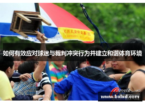 如何有效应对球迷与裁判冲突行为并建立和谐体育环境