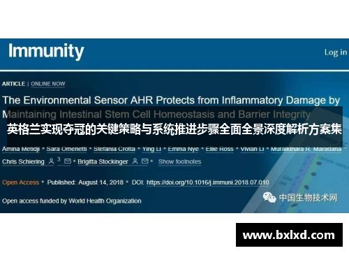 英格兰实现夺冠的关键策略与系统推进步骤全面全景深度解析方案集 英格兰实现夺冠的关键策略与系统推进步骤全面全景深度解析方案集